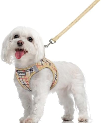 rabbitgoo Dog Harness Medium Sized and Leash Set, Step-in Puppy Pet Vest by rabbitgoo