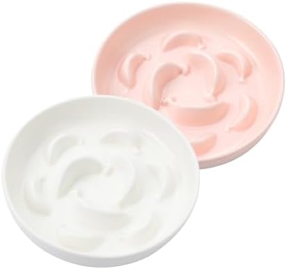 2 Pack Ceramic Cat Slow Feeder Bowl Set, 6.3" Wide, Slow Eating 5X by PTOBER