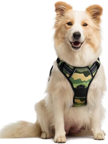 rabbitgoo Dog Harness, No Pull Medium Sized with 2 Leash Clips, Pet Vest by rabbitgoo