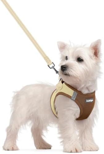 rabbitgoo Dog Harness Small Sized and Leash Set, Step-in Puppy Pet Vest by rabbitgoo