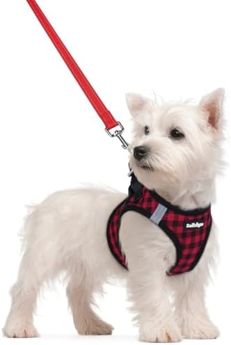 rabbitgoo Dog Harness Small Sized and Leash Set, Step-in Puppy Pet Vest by rabbitgoo