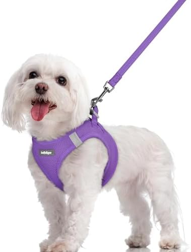 rabbitgoo Dog Harness Medium Sized and Leash Set, Step-in Puppy Pet Vest by rabbitgoo