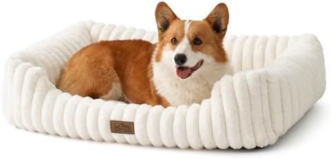 Orthopedic Dog Bed for Medium Dogs & Large Dogs - Washable Rectangle Pet Bed with Anti-Slip Bottom, Soft Calming Cat & Puppy Bed for Indoor Pets (35"x25"x8", Cream) by COZYKISS