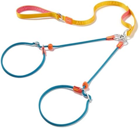 Howgo Slip Lead Leash 2 Dogs, Tangle-Free 360 Swivel(Multicolor,Handle) by HOWGO