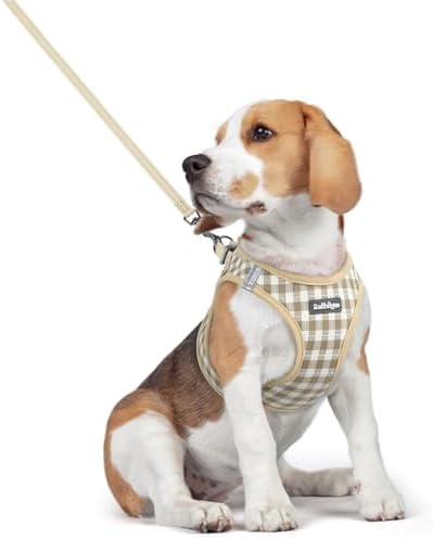 rabbitgoo Dog Harness Medium Sized and Leash Set, Step-in Puppy Pet Vest by rabbitgoo