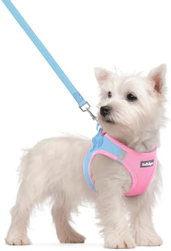 rabbitgoo Dog Harness Small Sized and Leash Set, Step-in Puppy Pet Vest by rabbitgoo