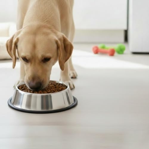 Loving Pets Stainless Steel Non-Tip Dog Bowl – Heavy Duty No Spill Dog Bowl with Removable Rubber Base – Durable, Non-Skid Stainless Steel Dog Food Bowl & Dog Water - Image 5