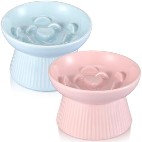Layhit 2 Pack Raised Slow Feeder Cat Bowls Ceramic Elevated Cat Food Bowls Anti Vomiting Slow Feeder for Dog and Kitten for Dry and Wet Food(Blue, Pink) by ShungLan