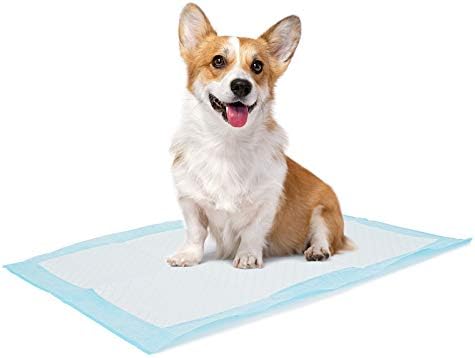 Dog and Puppy Training Pads, 13”×18” Disposable Dog Pee Pads, 100/Counts Ultra Absorbent & Leak-Proof Pet Underpads, Dry Quickly Pee Pad for Dog Cats Rabbits or Other House Training Pet by Bolux