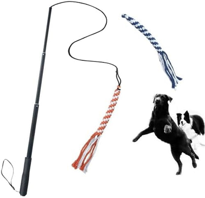 ASOCEA Dog Extendable Teaser Wand Pet Flirt Stick Pole Puppy Chasing Tail Interactive Toy for Small Medium Large Dogs Training Playing Exercise by ASOCEA