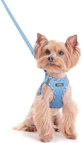 rabbitgoo Dog Harness Small Sized and Leash Set, Step-in Puppy Pet Vest by rabbitgoo
