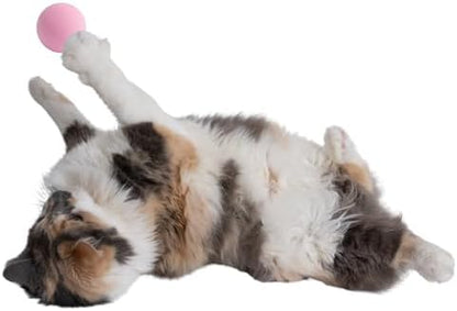 Rawry Foam Ball Cat Toy for Indoor Cats & Kittens,12 Pack, Pink - Image 5