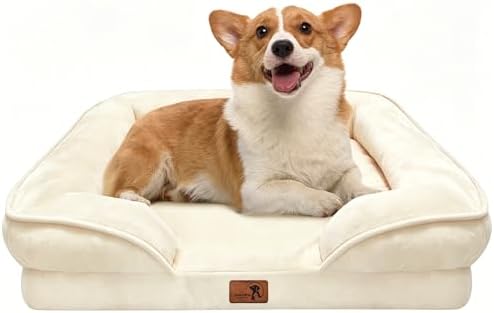 Spotted Play Orthopedic Dog Bed with Sides - Sofa Beds for Medium Dogs, Supportive Foam Pet Couch Bed with Washable Removable Cover, Waterproof Lining and Non-Slip Bottom, Ivory - M by Spotted+Play