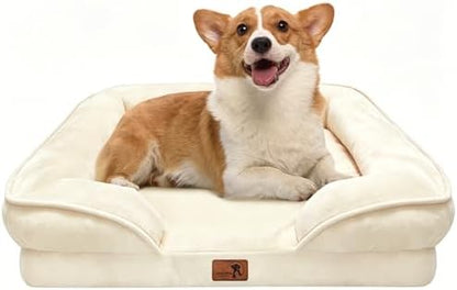 Spotted Play Orthopedic Dog Bed with Sides - Sofa Beds for Medium Dogs, Supportive Foam Pet Couch Bed with Washable Removable Cover, Waterproof Lining and Non-Slip Bottom, Ivory - M by Spotted+Play