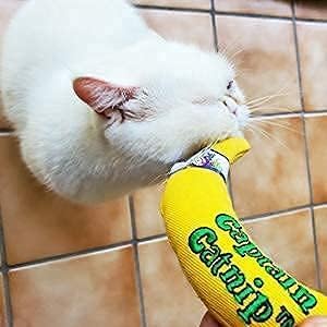 Captain Catnip Cat Banana Toy, Kitten Interactive Toy, Fun Playing Cat Toy, Filled with Organic Catnip for Indoor Cats (Pack of 2) - Image 6