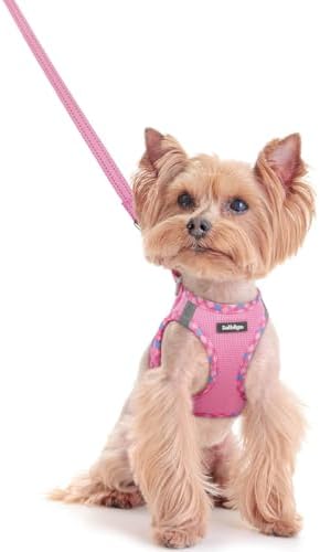 rabbitgoo Dog Harness Small Sized and Leash Set, Step-in Puppy Pet Vest by rabbitgoo