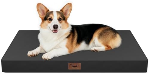 Outdoor Waterproof Orthopedic Dog Bed for Large Dogs by TailStories