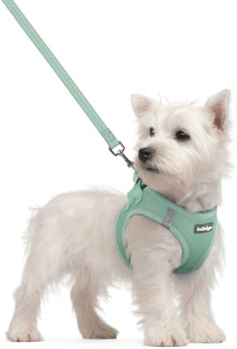 rabbitgoo Dog Harness Small Sized and Leash Set, Step-in Puppy Pet Vest by rabbitgoo