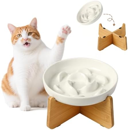 Elevated Ceramic Slow Feeder Cat Bowl, 6.3'' Wide Whisker Friendly by PTOBER