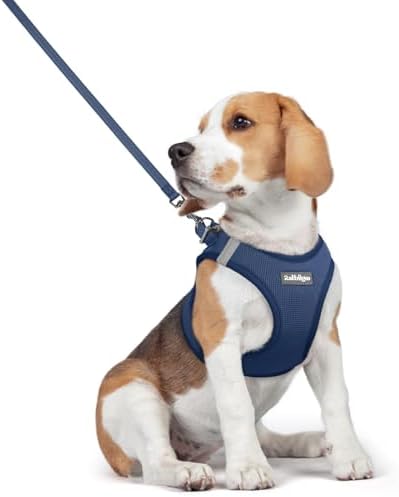 rabbitgoo Dog Harness Medium Sized and Leash Set, Step-in Puppy Pet Vest by rabbitgoo