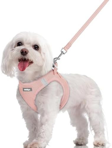 rabbitgoo Dog Harness Medium Sized and Leash Set, Step-in Puppy Pet Vest by rabbitgoo