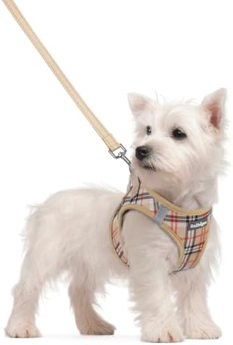 rabbitgoo Dog Harness Small Sized and Leash Set, Step-in Puppy Pet Vest by rabbitgoo