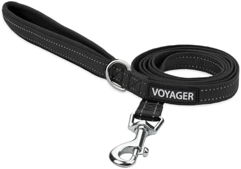 Best Pet Supplies Voyager Nylon Dog Leash - Black, Small by BestPetSuppliesLLC