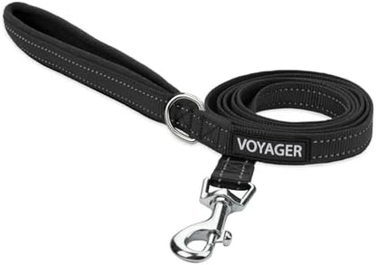 Best Pet Supplies Voyager Nylon Dog Leash - Black, Small by BestPetSuppliesLLC