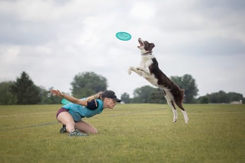 Hero Disc USA Superhero 235 K9 Candy Plastic Dog Disc, Outdoor Dog Toy and Pet Disc, Puncture Resistant Dog Flying Disc (Orange) - Image 3