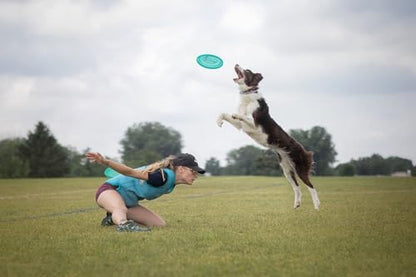 Hero Disc USA Superhero 235 K9 Candy Plastic Dog Disc, Outdoor Dog Toy and Pet Disc, Puncture Resistant Dog Flying Disc (Orange) - Image 3