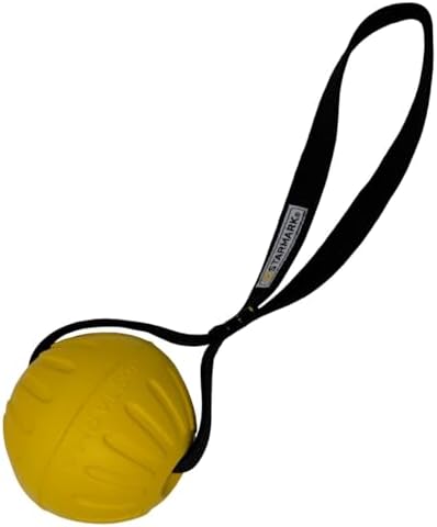 Starmark GripCord DuraFoam Ball on Loop Large Dogs 3.5-in by Starmark