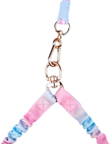 Dual Dog Leash,Double Dog 360 Swivel No Tangle Walking Leash,Comfortable Shock Absorbing Reflective Bungee for Two Dogs (Cotton Candy Dream) - Image 3
