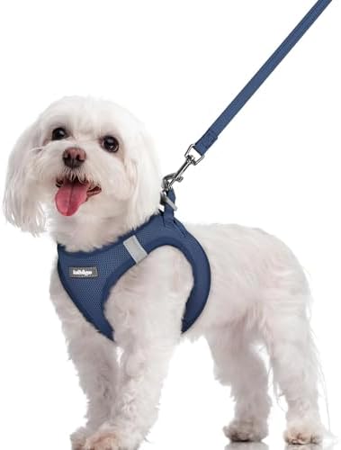 rabbitgoo Dog Harness Medium Sized and Leash Set, Step-in Puppy Pet Vest by rabbitgoo