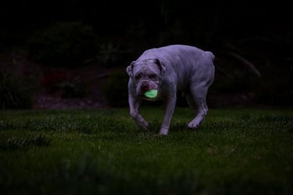 Chuckit! Air Glow Fetch Ball Dog Toy, Medium (2.5 Inch) Pack of 2, for Breeds 20-60 lbs - Image 3