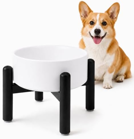 Raised Ceramic Dog Bowl Set with Stand, 2 Cups Elevated Dog Food Stand by PTOBER