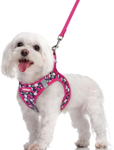 rabbitgoo Dog Harness Medium Sized and Leash Set, Step-in Puppy Pet Vest by rabbitgoo