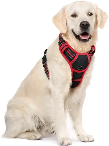 rabbitgoo Dog Harness, No Pull for Large Dogs with 2 Leash Clips, Pet Vest by rabbitgoo
