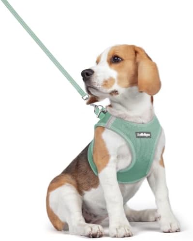 rabbitgoo Dog Harness Medium Sized and Leash Set, Step-in Puppy Pet Vest by rabbitgoo