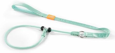 HowGo Slip Lead Dog Leash with 2 Spring-Loaded Stoppers (MintGreen 3.6FT) by HOWGO