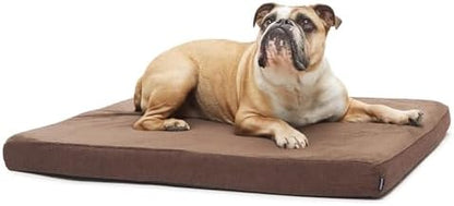 BarkBox Orthopedic Dog Bed - Medium by BARK