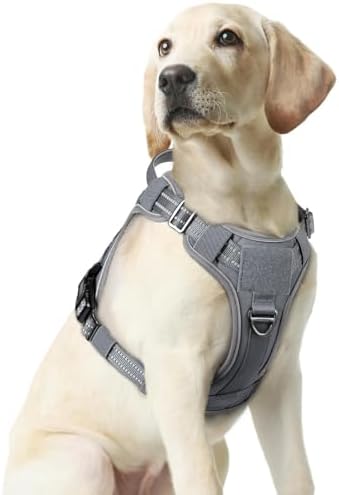 rabbitgoo Tactical Dog Harness Medium Sized, No Pull Service Pet Vest by rabbitgoo
