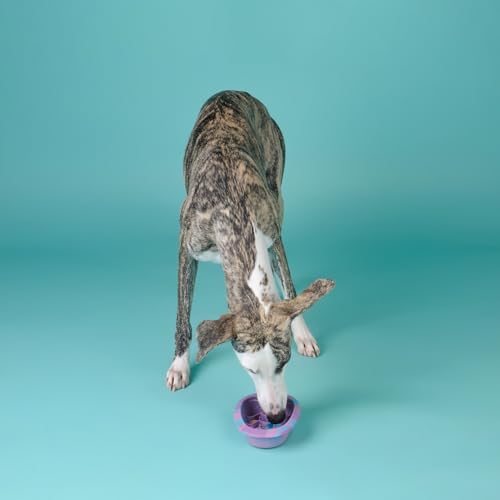 CHEWFFON Dog & Cat Lick Mat Bowl with Suction Cups, Lavender Purple Small - Image 6