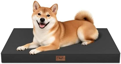 Outdoor Waterproof Orthopedic Dog Bed for Medium Size Dogs by TailStories