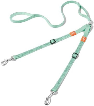 HOWGO Double Dog Leash,Tangle-Free 360 Swivel(MintGreen, Pro M-L w.Handle) by HOWGO