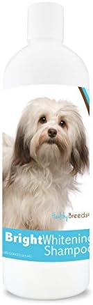 Healthy Breeds Havanese Bright Whitening Shampoo 12 oz by HealthyBreeds