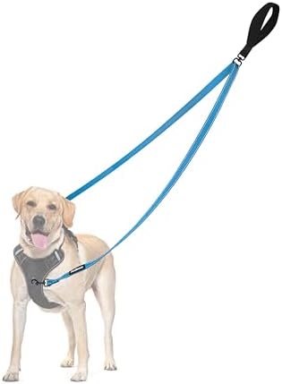 PetBonus Two Point Control Dog Leash, No Tangle Training Walking Leashes by Petbonus
