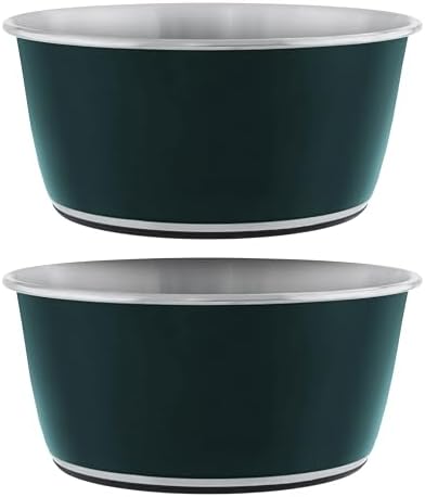 Master Pet Supply Stainless Steel Dog Bowls Set of 2 - Emerald Sea - 16 Oz by MasterPetSupply