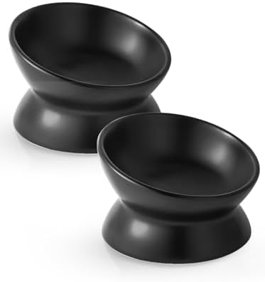 LoeJan Elevated Cat Food Bowl, 5 Oz Ceramic Raised and Tilted Water Bowl, Anti Vomiting and Protect Pets' Spines Dishes for Small Dog, Fat Faced Cat, Kitten (Black, 2 Pack) by LoeJan