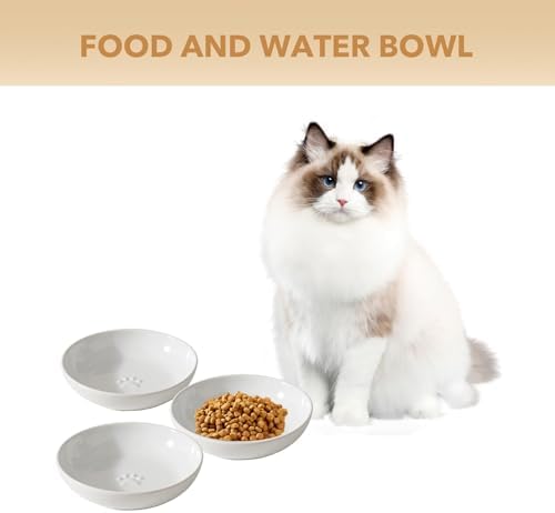Havniva Ceramic Cat Bowls, Cat Food Bowls Whisker Friendly - Image 4