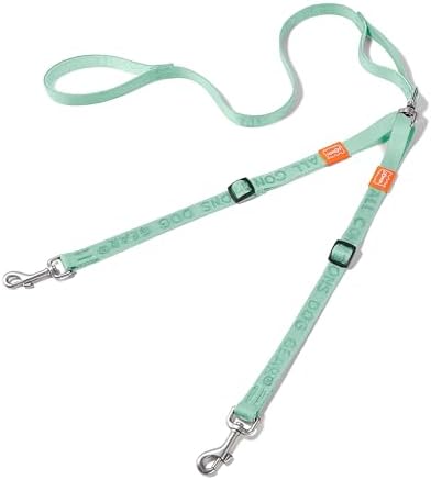 HOWGO Double Dog Leash,Tangle-Free 360 Swivel(MintGreen, Std M-L w.Handle) by HOWGO